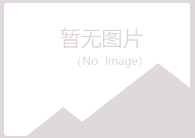 阳山县涵柏保险有限公司